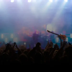 Senior Ticket (Over 65)